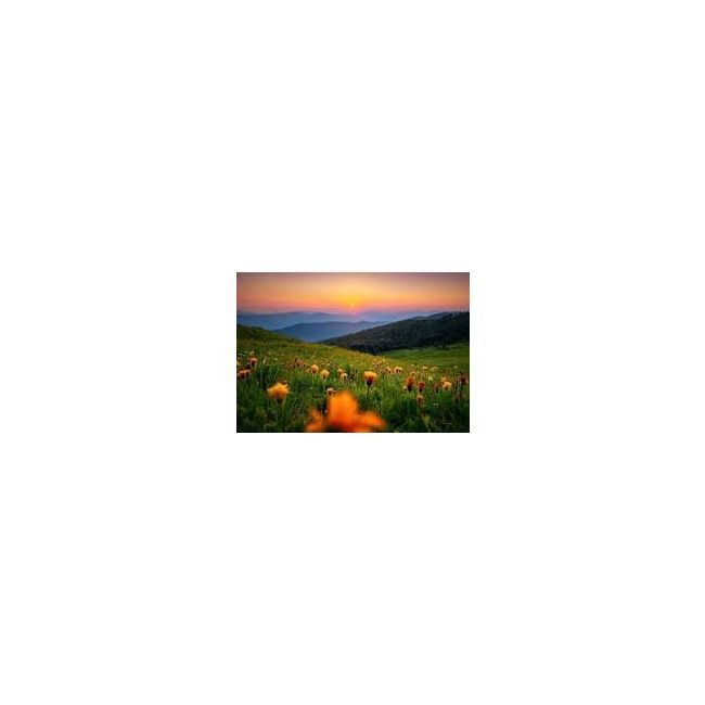 Test Sun